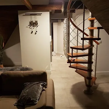 Palisander Kościelisko