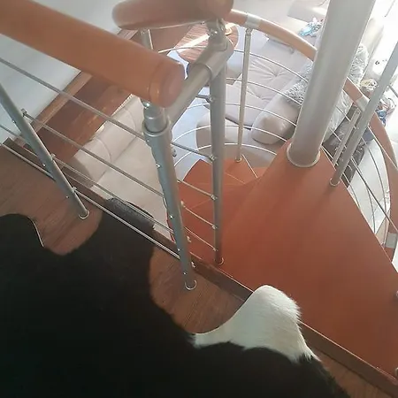 Apartament Palisander