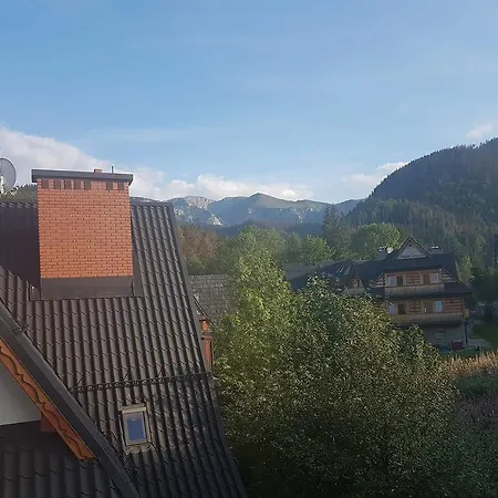 Palisander Kościelisko