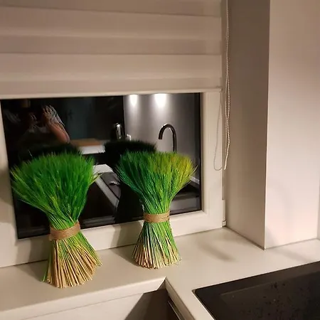 Palisander Apartament *