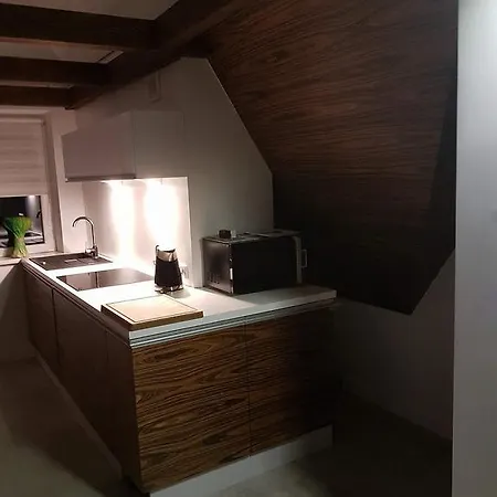 Palisander Apartment Koscielisko
