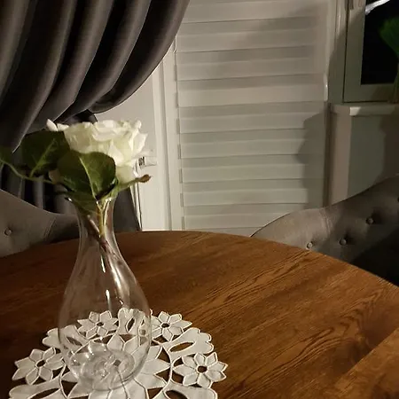 Palisander Apartament