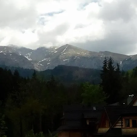 Palisander * Kościelisko