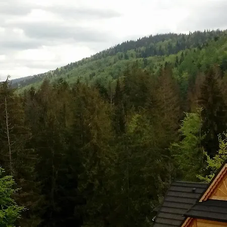 Palisander * Kościelisko