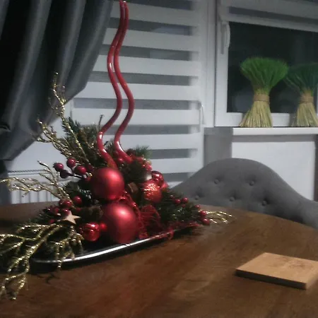 Palisander Kościelisko