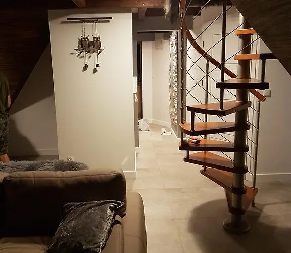 Palisander Kościelisko