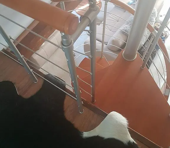 Appartamento Palisander