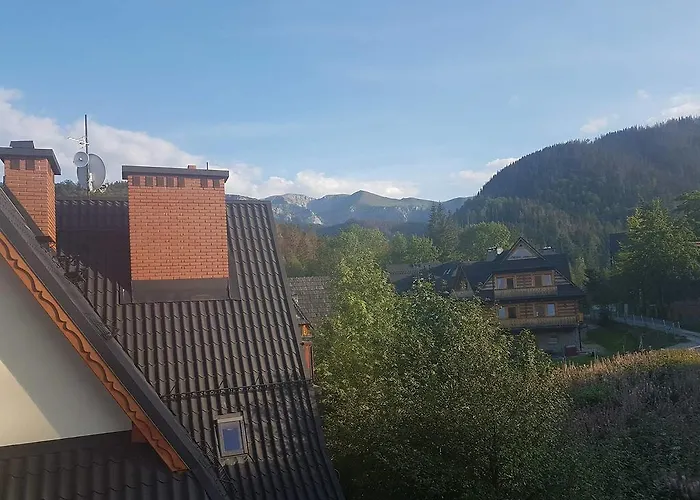 Palisander Kościelisko