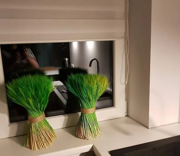 Palisander Appartamento *