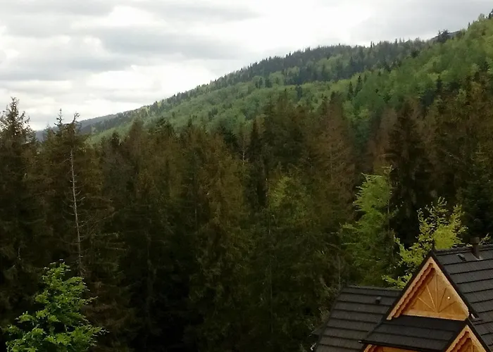 Palisander * Kościelisko