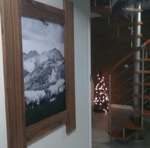 Palisander Kościelisko