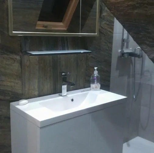 Palisander Kościelisko